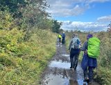 Blanefiels/Killearn Circular