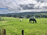 Blanefiels/Killearn Circular