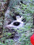 Brig o'Turk Circular