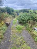 Broomburn 