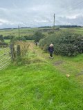 Broomburn 