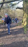 Fernbrae Meadows