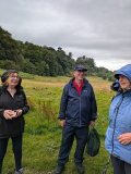 Fernbrae Meadows