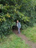 Fernbrae Meadows