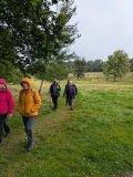 Fernbrae Meadows