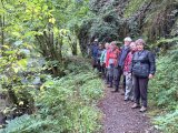 Ness Glen