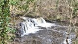 Philipshill to Linn Park