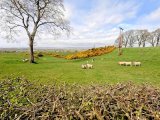 Stewarton to Dunlop
